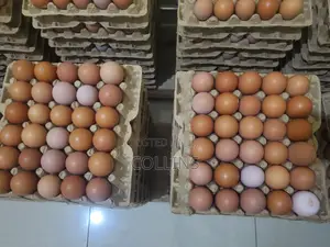 Eggs Available for Sale