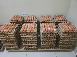 Eggs Available for Sale