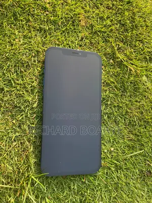 Apple iPhone 12 Pro Max 128 GB Blue