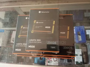 256gb Msata Solid State Drive