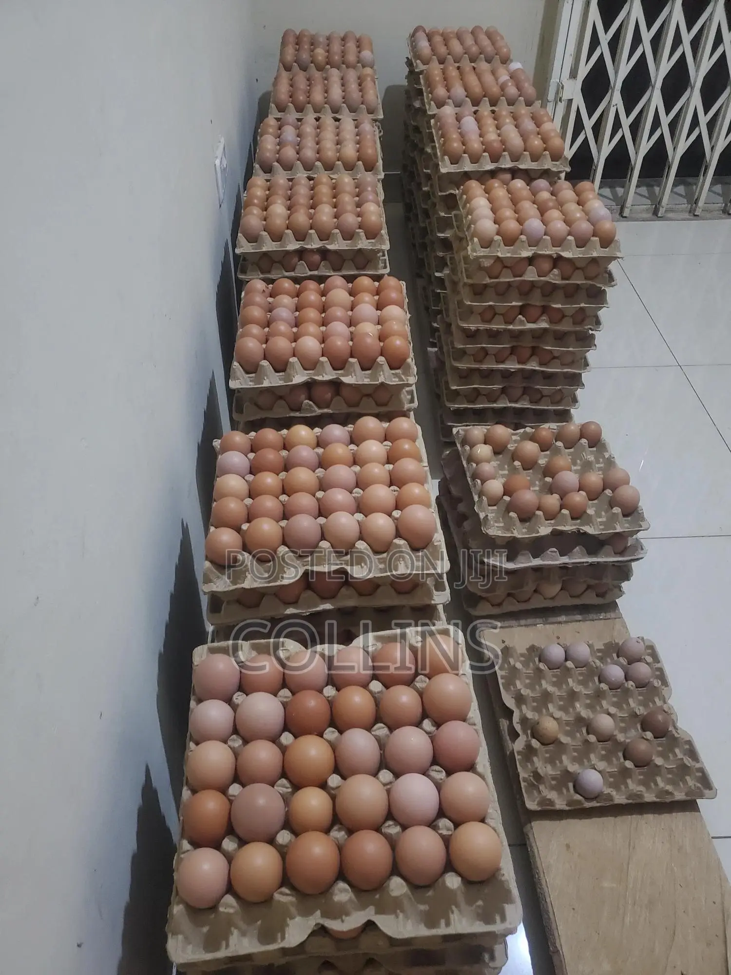 Eggs Available for Sale