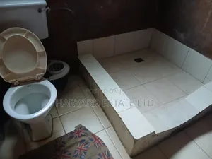 1bdrm Apartment in Tech Ayeduase Knust, Kumasi Metropolitan for rent