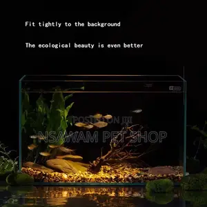 Ultra-clear Aquatic Tank Ykk-220