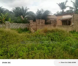 Land and Building