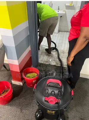 Professional Cleaning Service