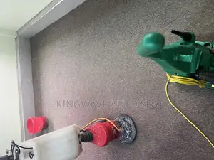 Professional Cleaning Service