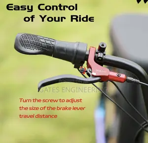 Ebike Brakes