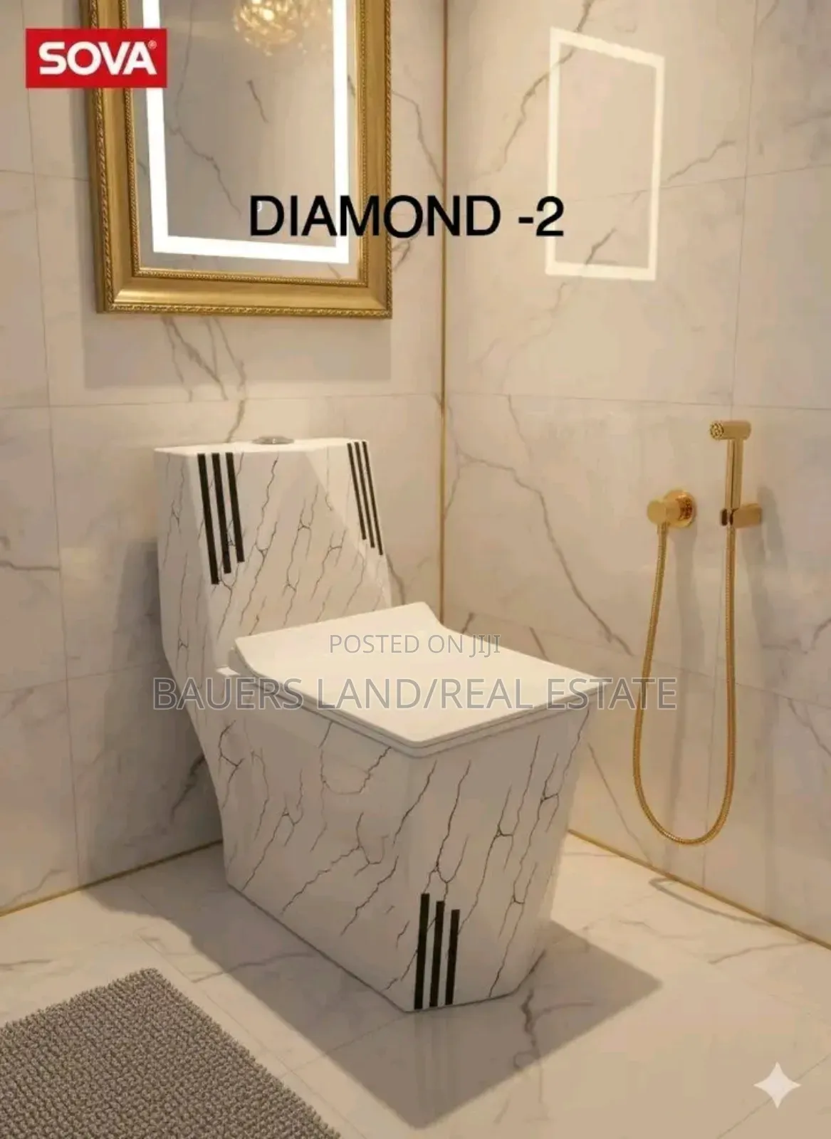 Professional Plumber Available