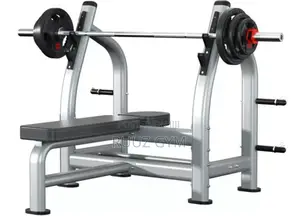 Commercial Gym Bench