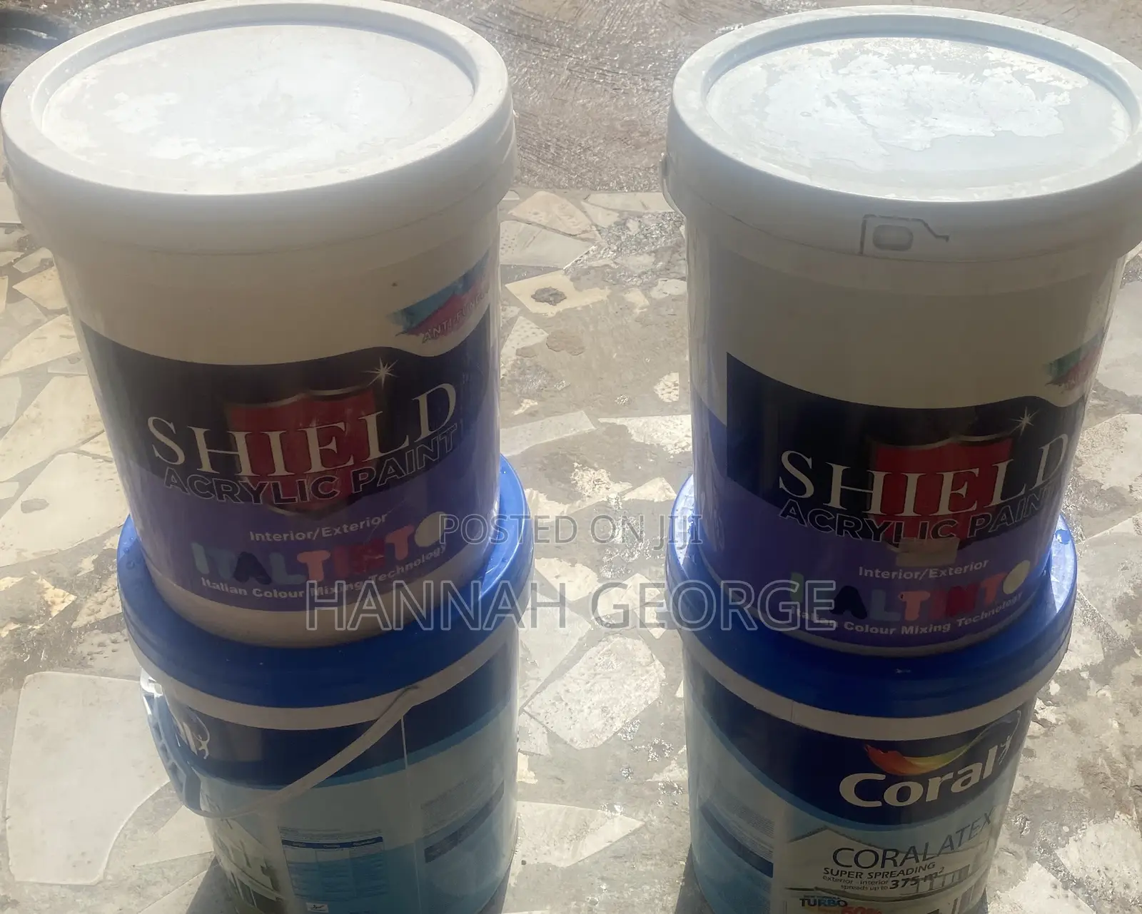 Shield  Acrylic Paint
