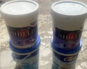Shield  Acrylic Paint
