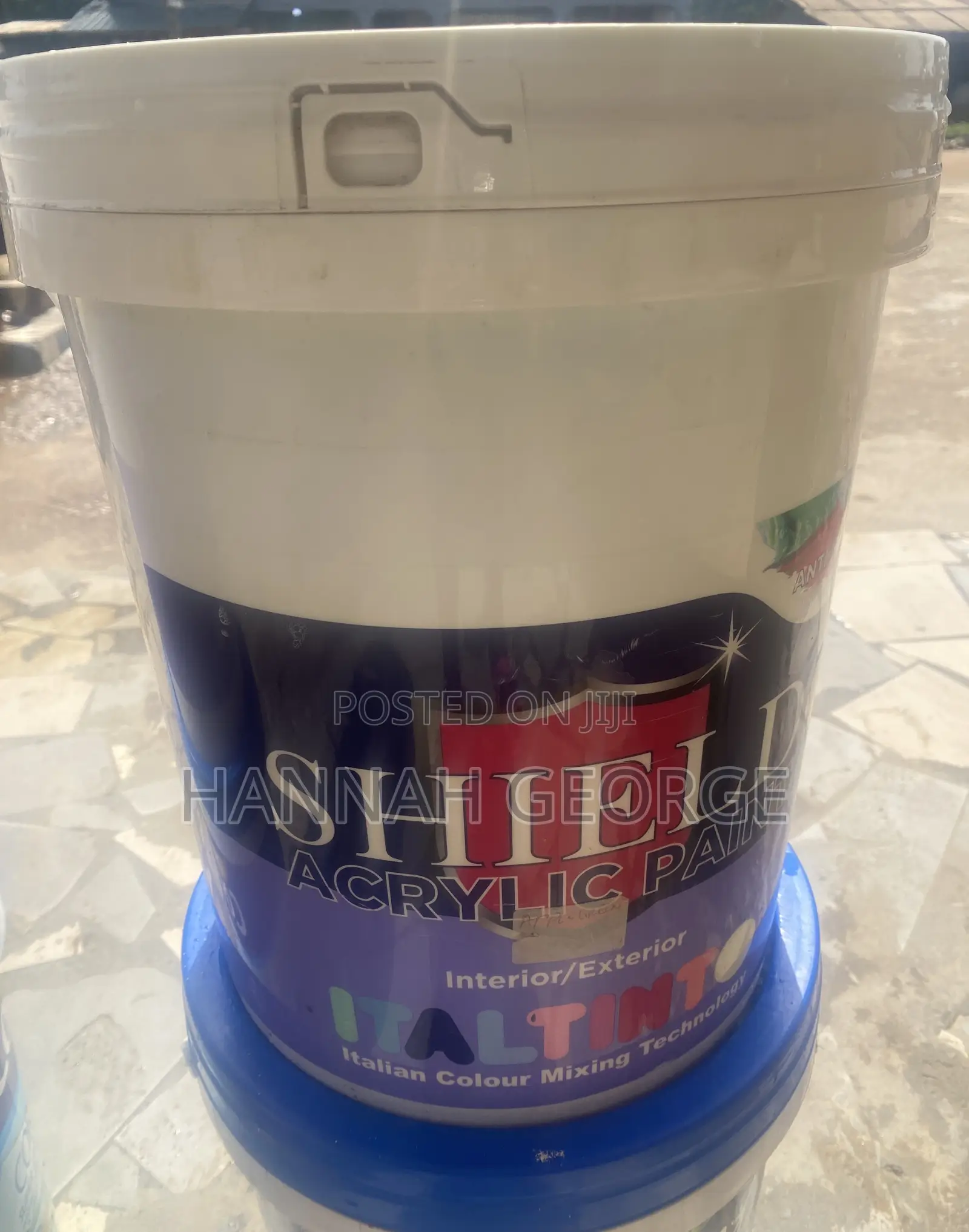 Shield  Acrylic Paint