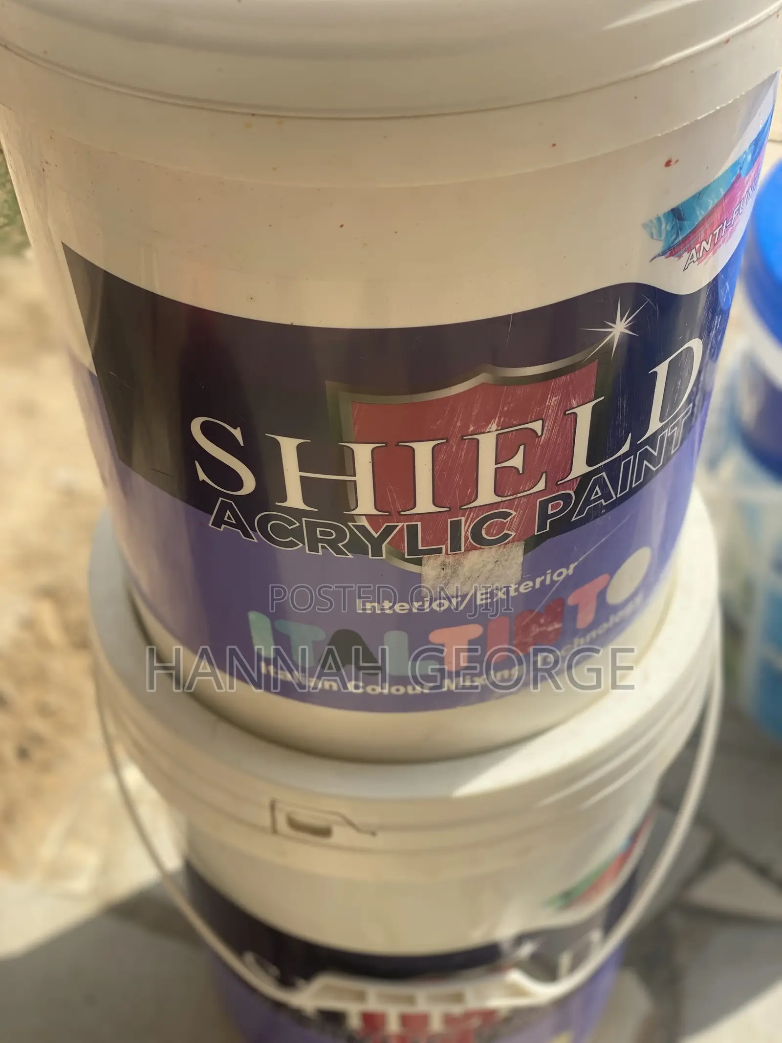 Shield  Acrylic Paint