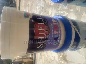 Shield  Acrylic Paint