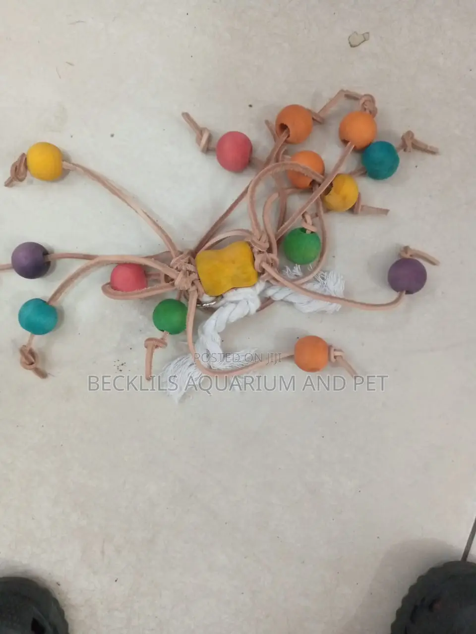 Long Parrot Play Toys