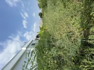 Two Plots of Land for Sale