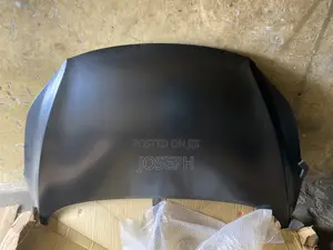 Elantra 2012,2013,2014,2015,2016 Hood
