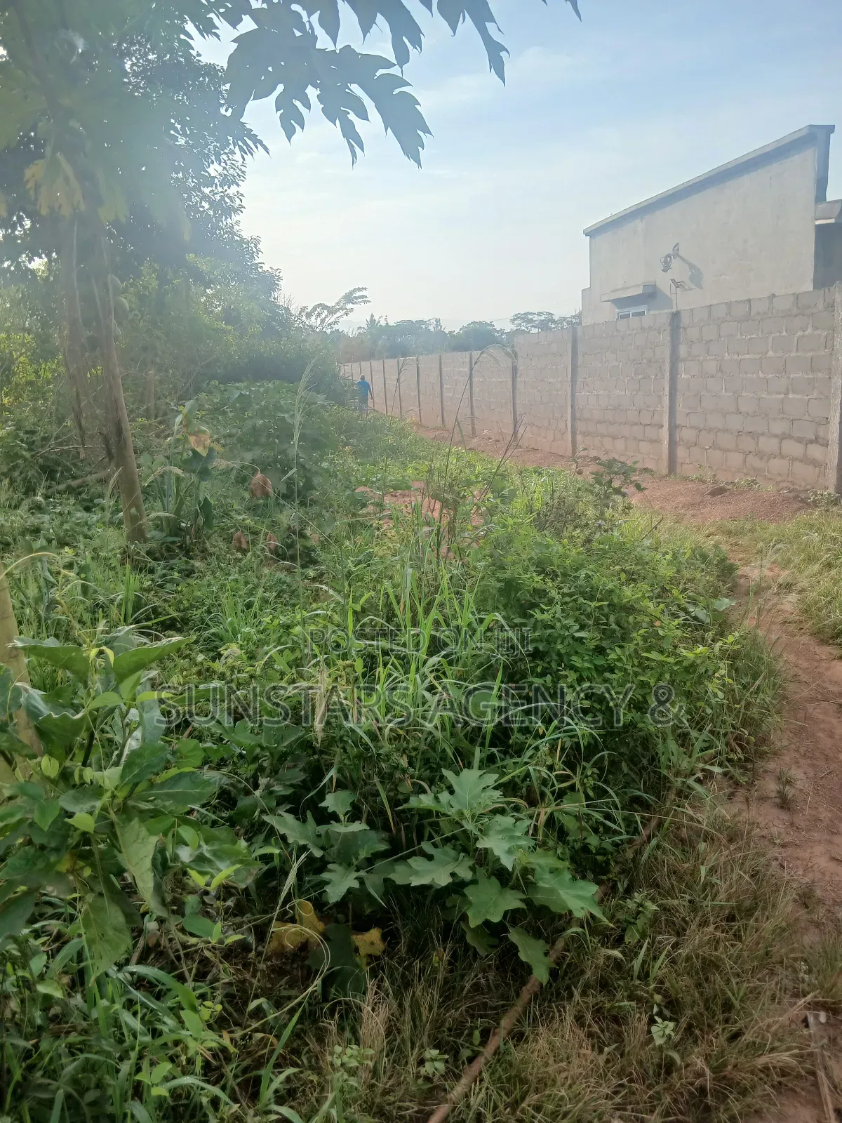 Land for Sale in Hohoe