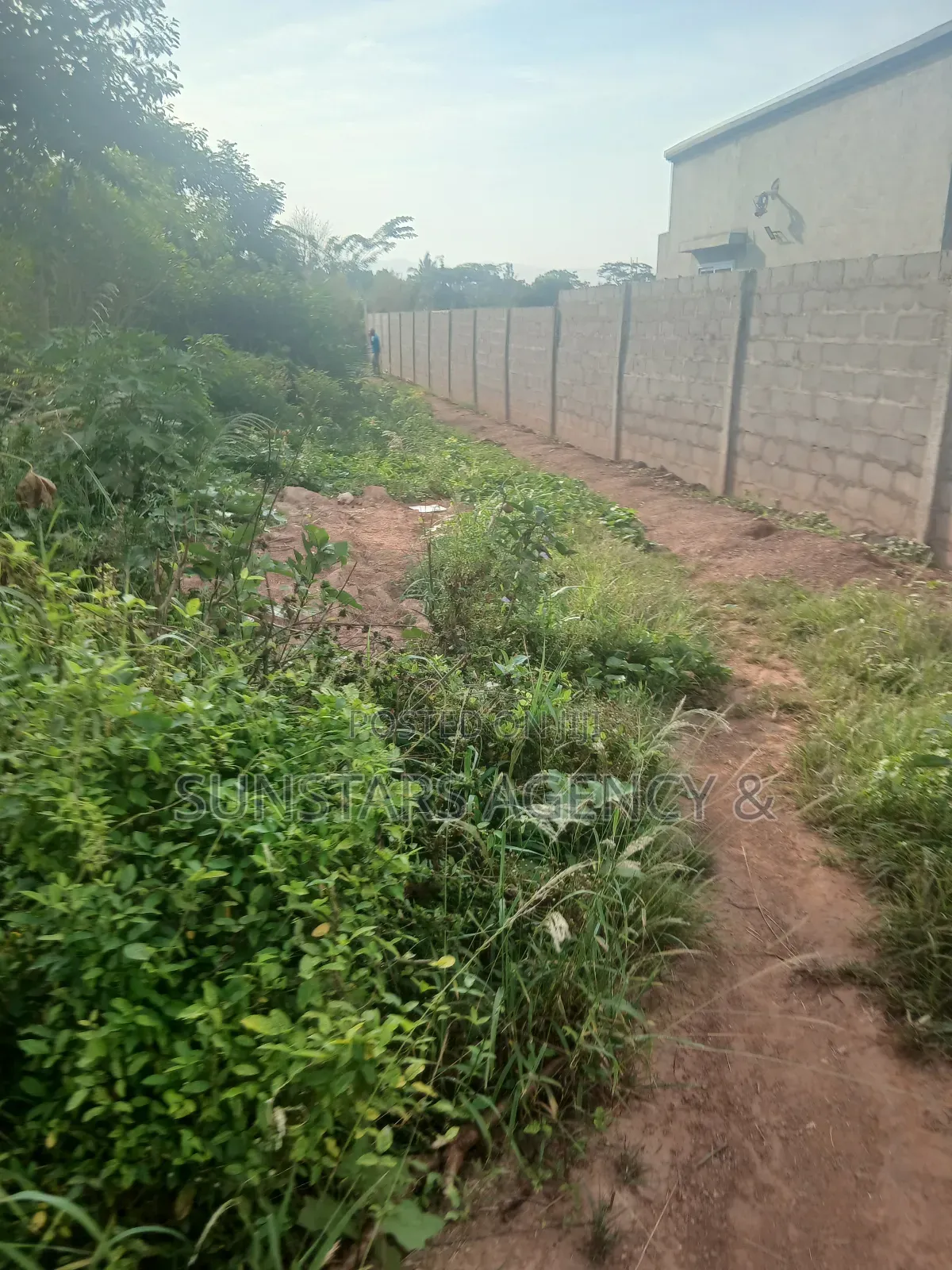 Land for Sale in Hohoe