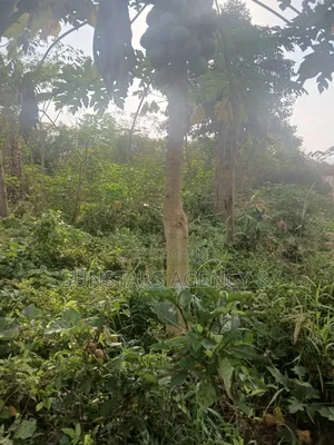 Land for Sale in Hohoe