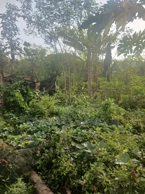 Land for Sale in Hohoe