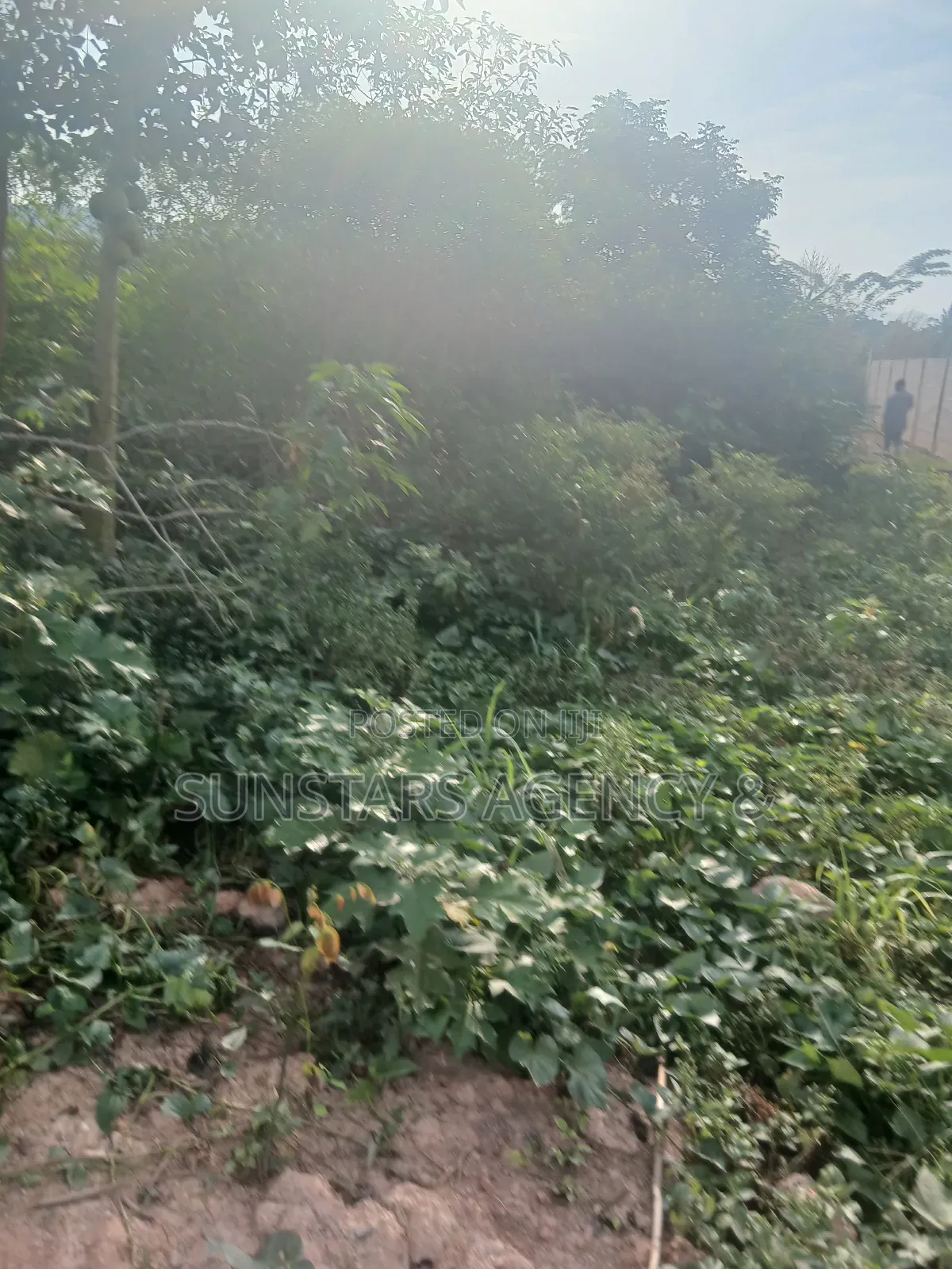 Land for Sale in Hohoe
