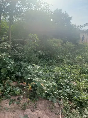 Land for Sale in Hohoe