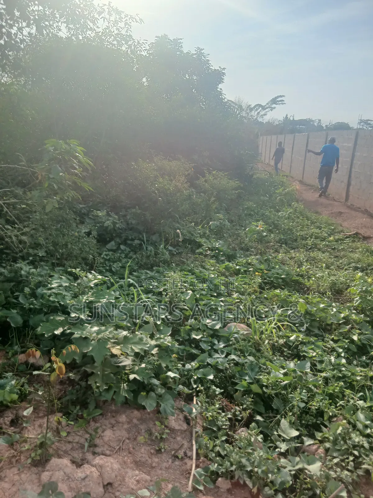 Land for Sale in Hohoe