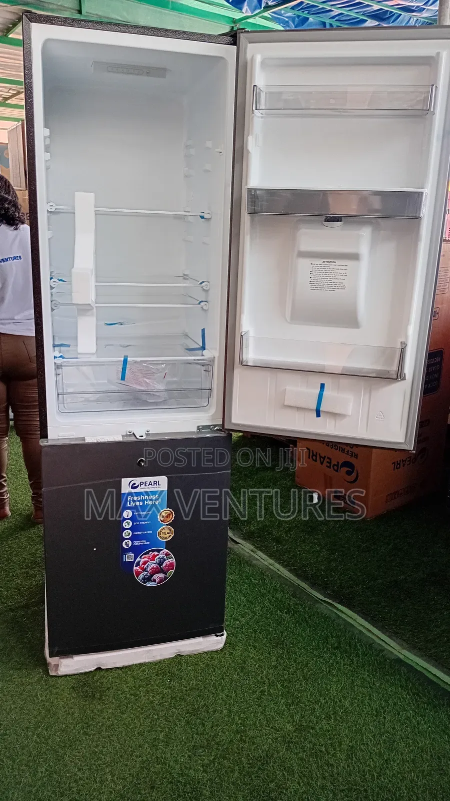 Elegant Pearl 262l Bottom Freezer Fridge