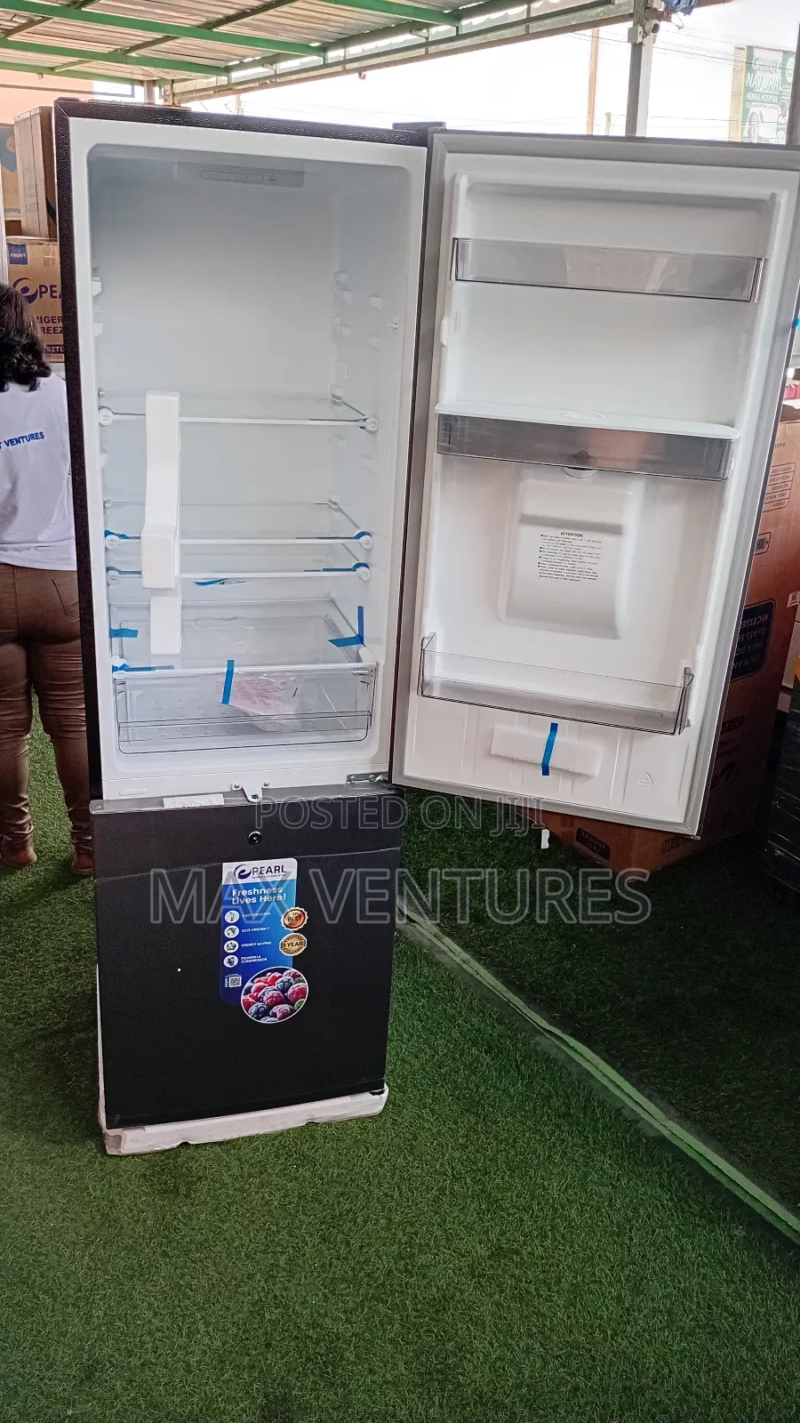 Elegant Pearl 262l Bottom Freezer Fridge