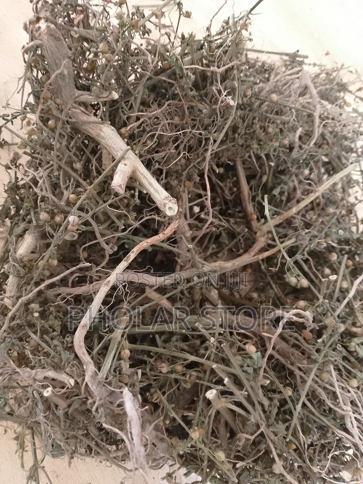 Fresh And Dried Herbs (Plants ) Are Available
