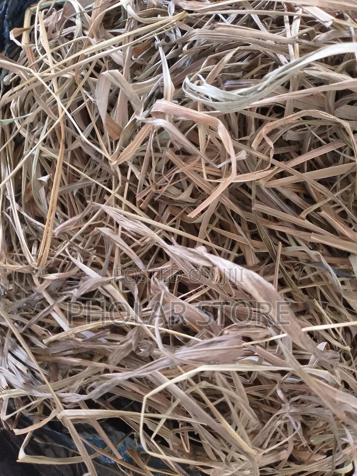 Fresh And Dried Herbs (Plants ) Are Available