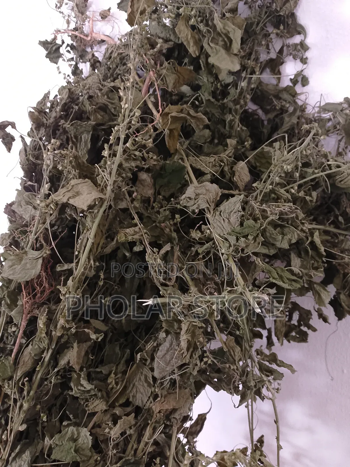 Fresh And Dried Herbs (Plants ) Are Available