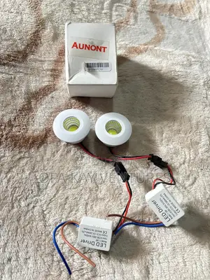 2pcs Spotlight 1watt White