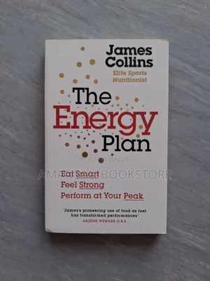 The Energy Plan