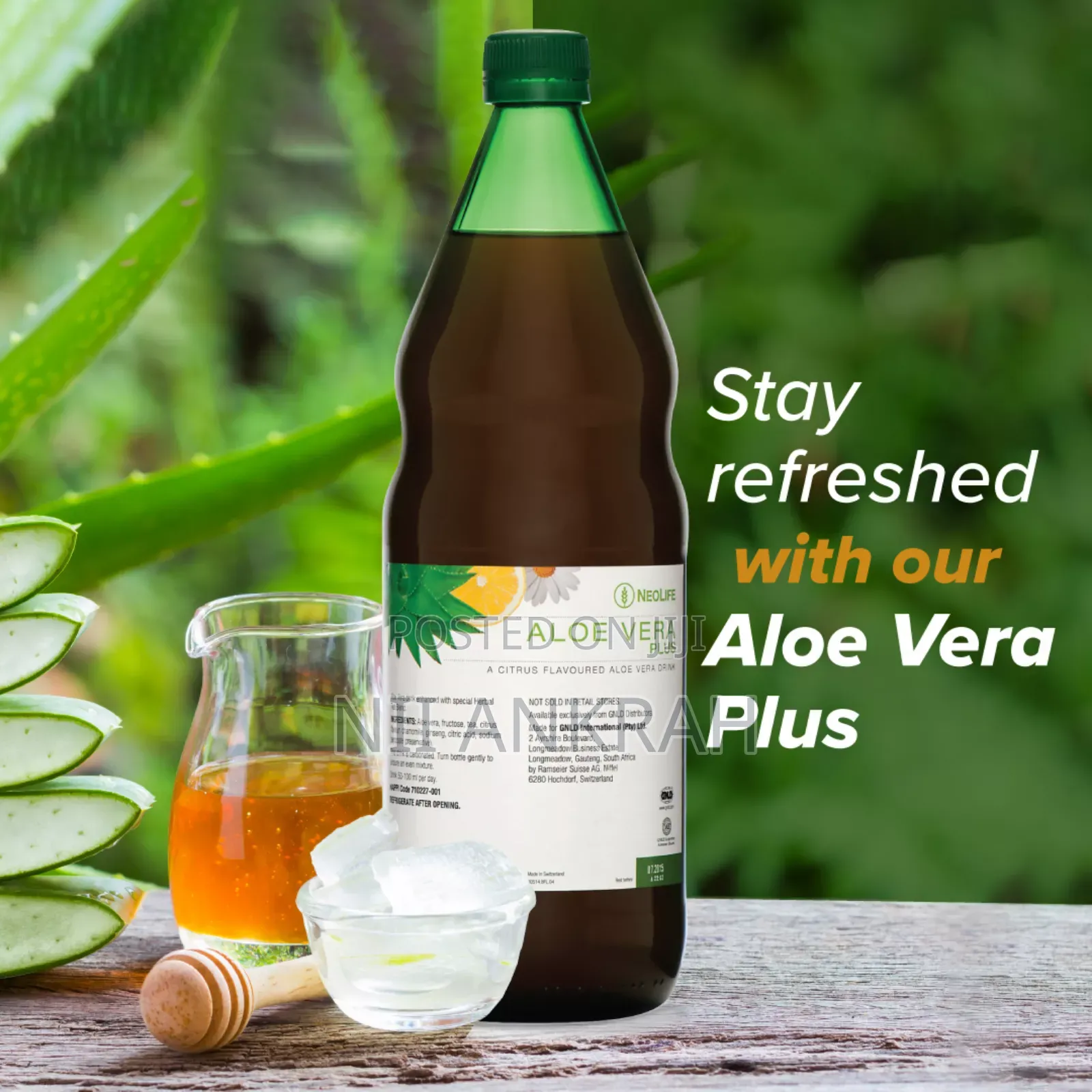 Aloe Vera Plus