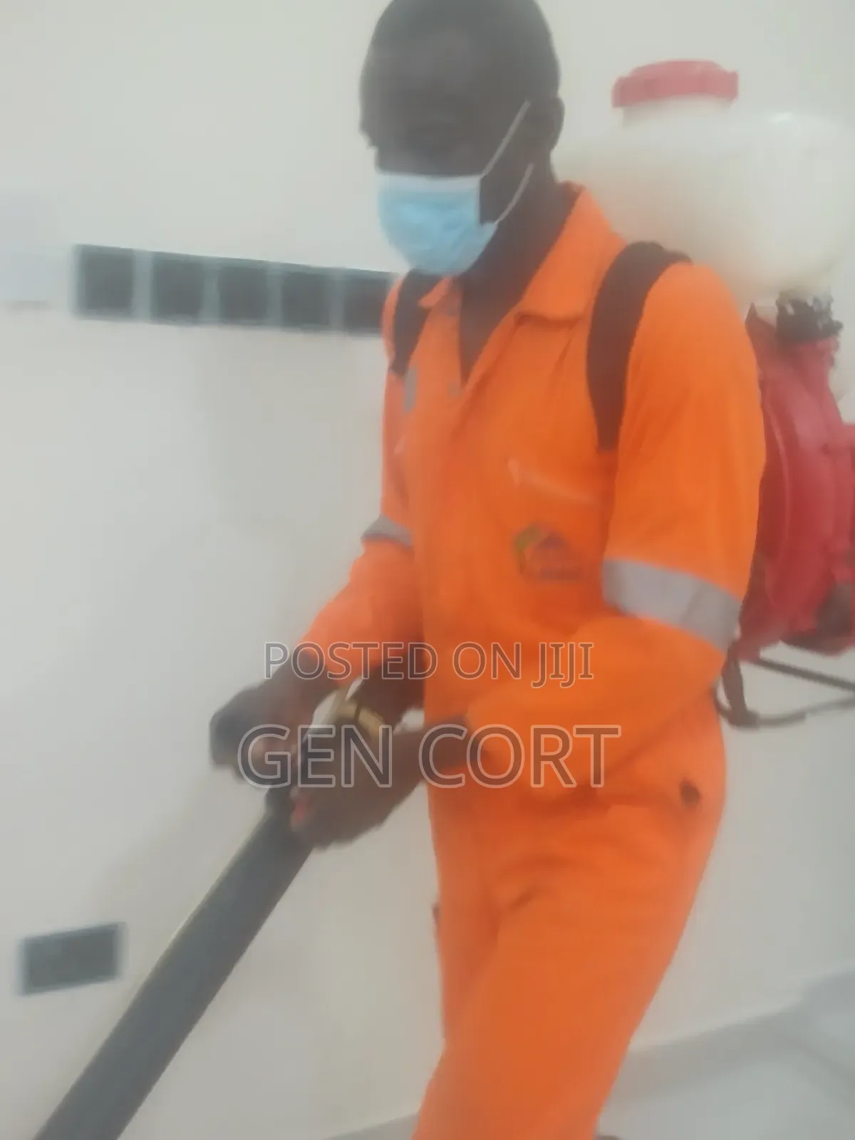 Bedbugs Fumigation