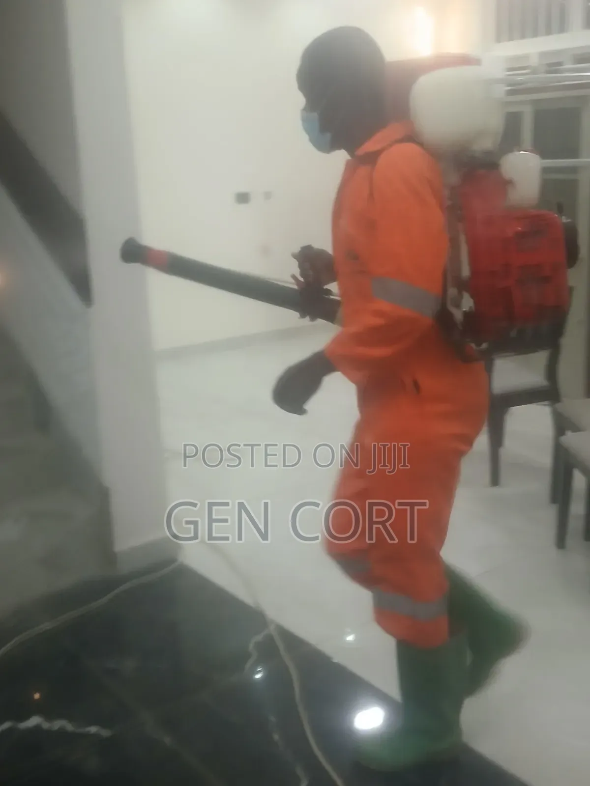 Fumigate Against Bedbugs