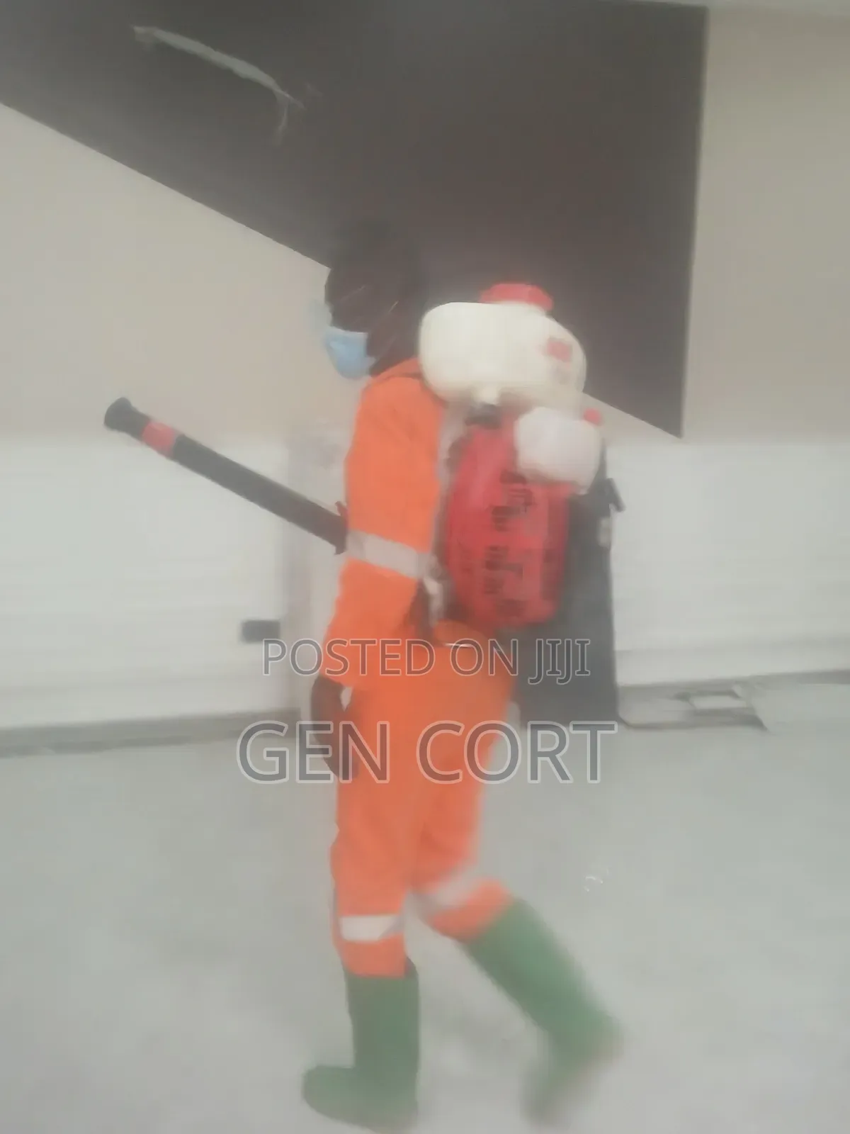 Fumigate Against Bedbugs