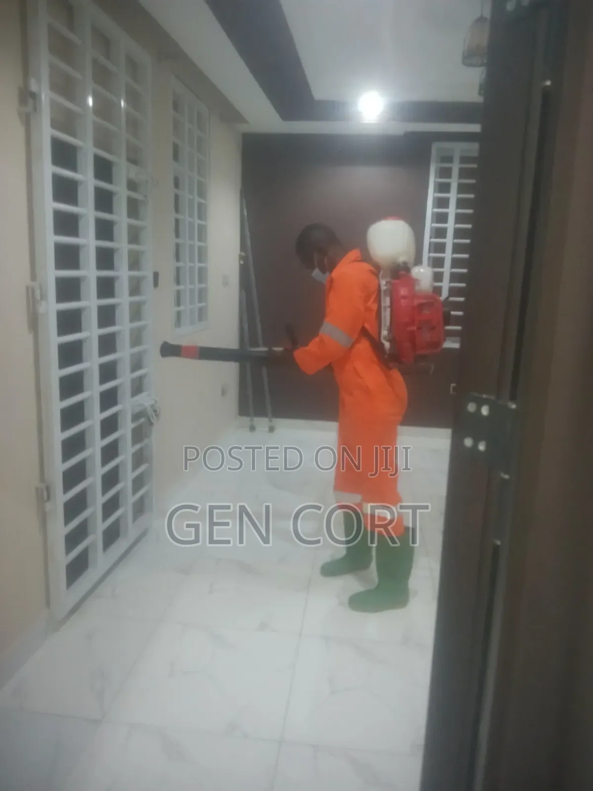 Pest Control and More