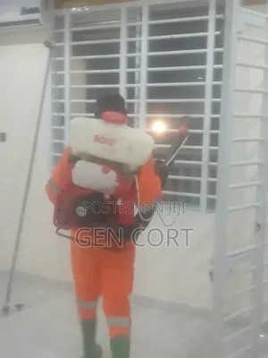 Bed Bugs Spraying and More