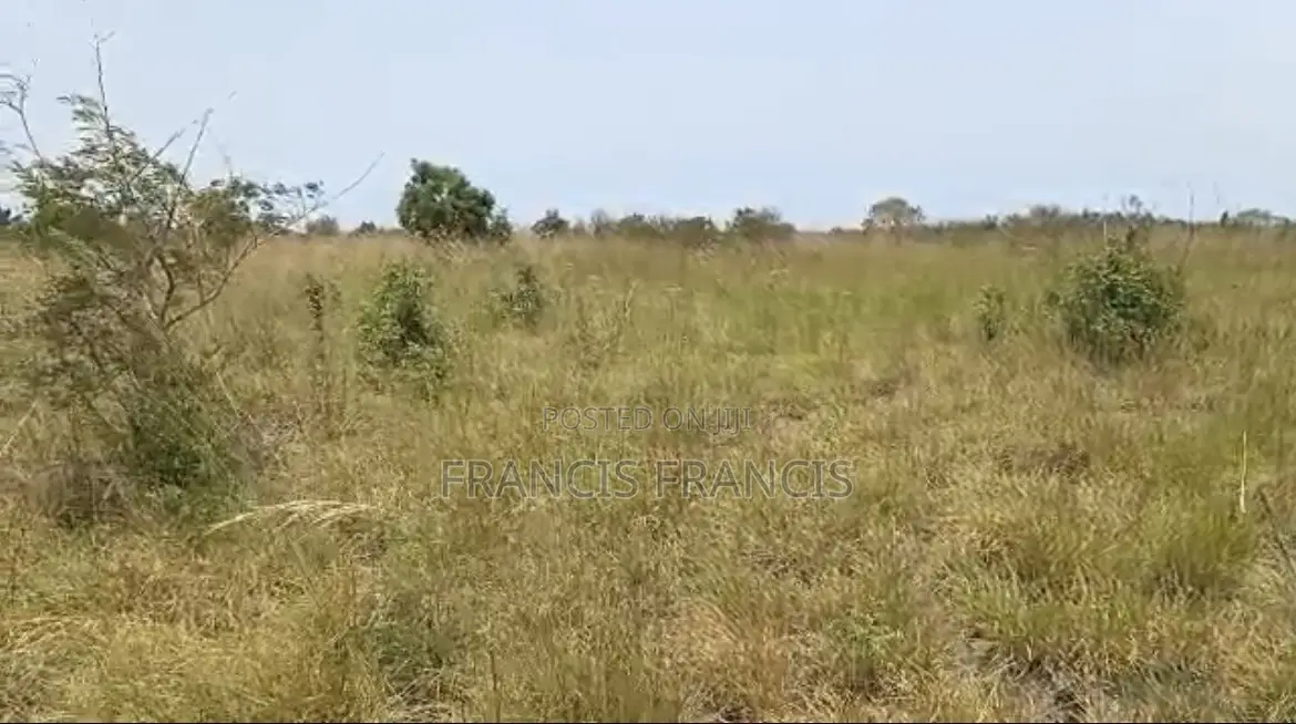 8 Plots of Land for Sale - Paradise City, Kopodor, B5