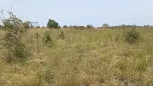 8 Plots of Land for Sale - Paradise City, Kopodor, B5