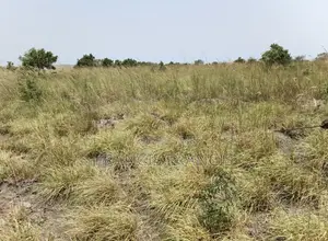 8 Plots of Land for Sale - Paradise City, Kopodor, B5