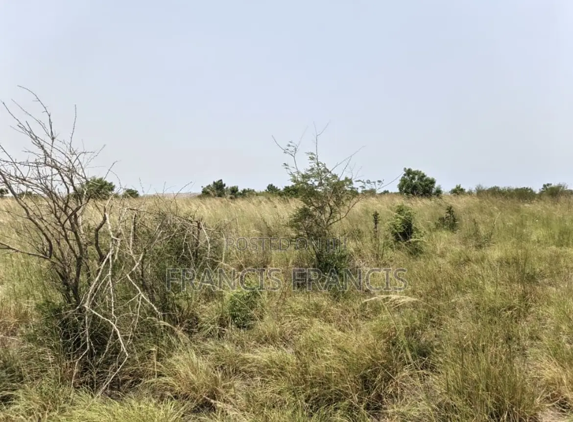 8 Plots of Land for Sale - Paradise City, Kopodor, B5