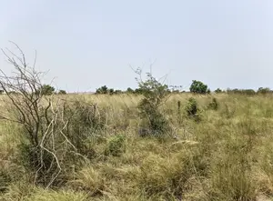 8 Plots of Land for Sale - Paradise City, Kopodor, B5