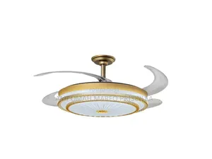 Ceiling Fan Light