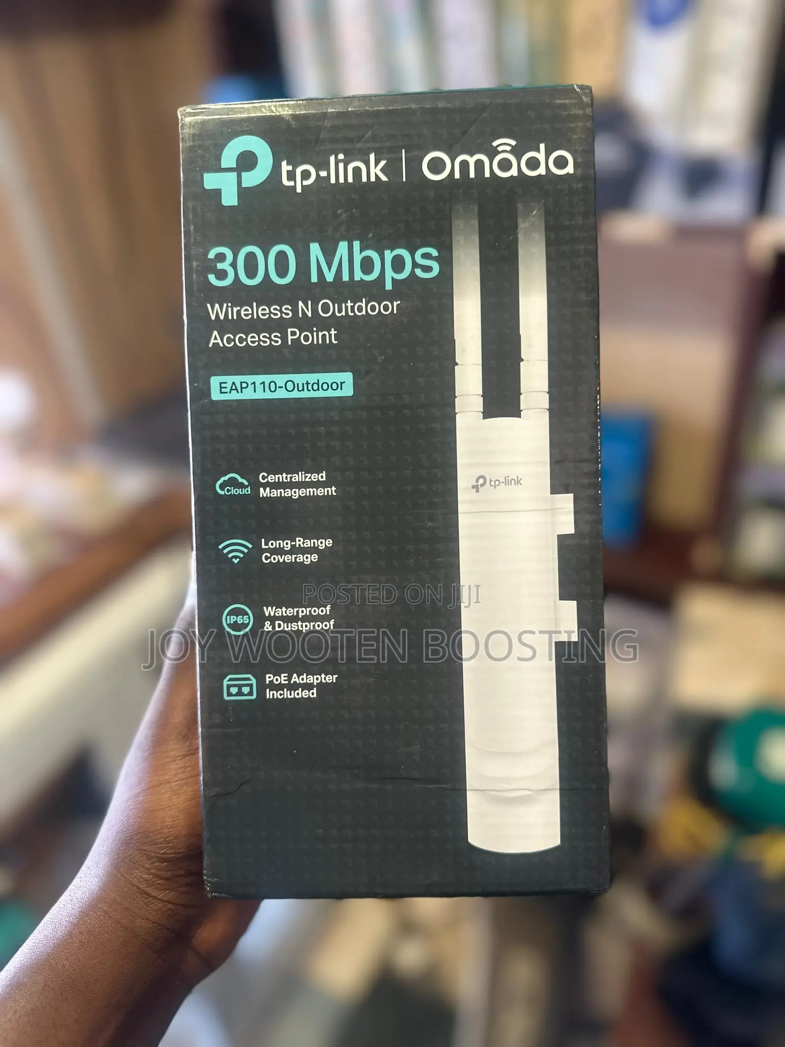 Tp-Link Omada Eap110-Outdoor Access Point