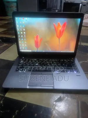 Laptop HP EliteBook 745 G2 16GB Intel Core i5 SSD 256GB