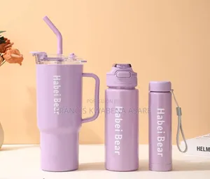 3 in 1 Water Bottle